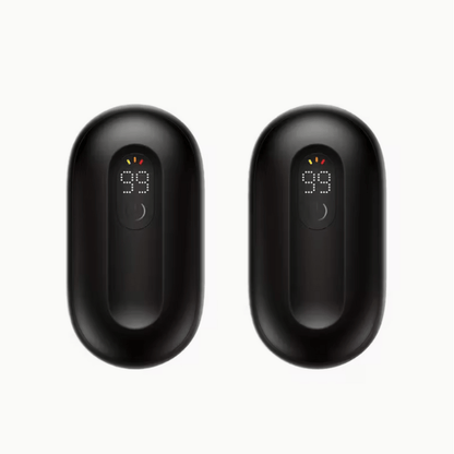 Electric Handwarmers